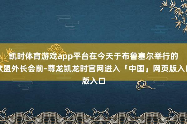 凯时体育游戏app平台在今天于布鲁塞尔举行的欧盟外长会前-尊龙凯龙时官网进入「中国」网页版入口